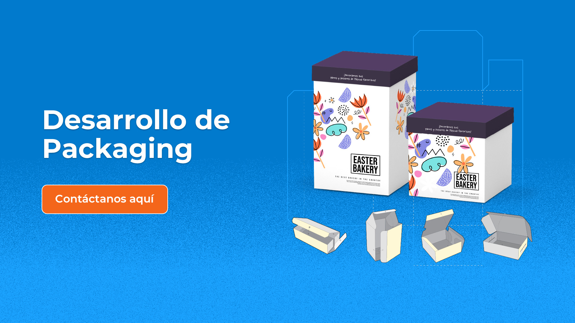 Desarrollo de packaging